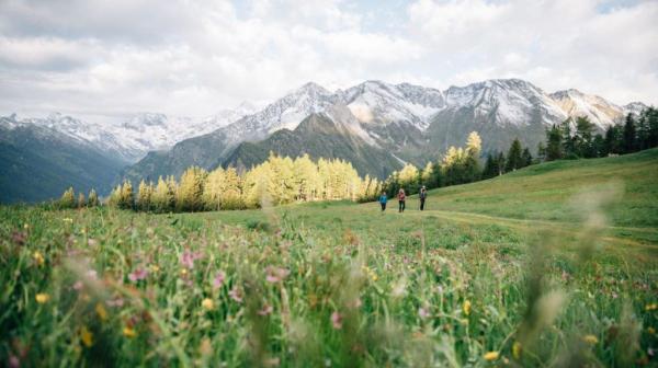Attivi & primavera
