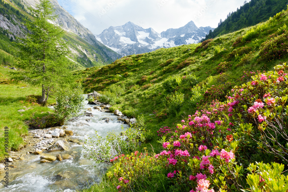 Sommerträume über den Dächern von Meran... 4=3
