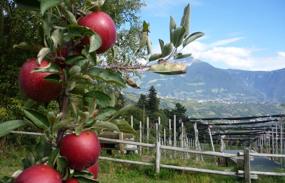 Ernte-Wanderwochen mit Gipfelglück