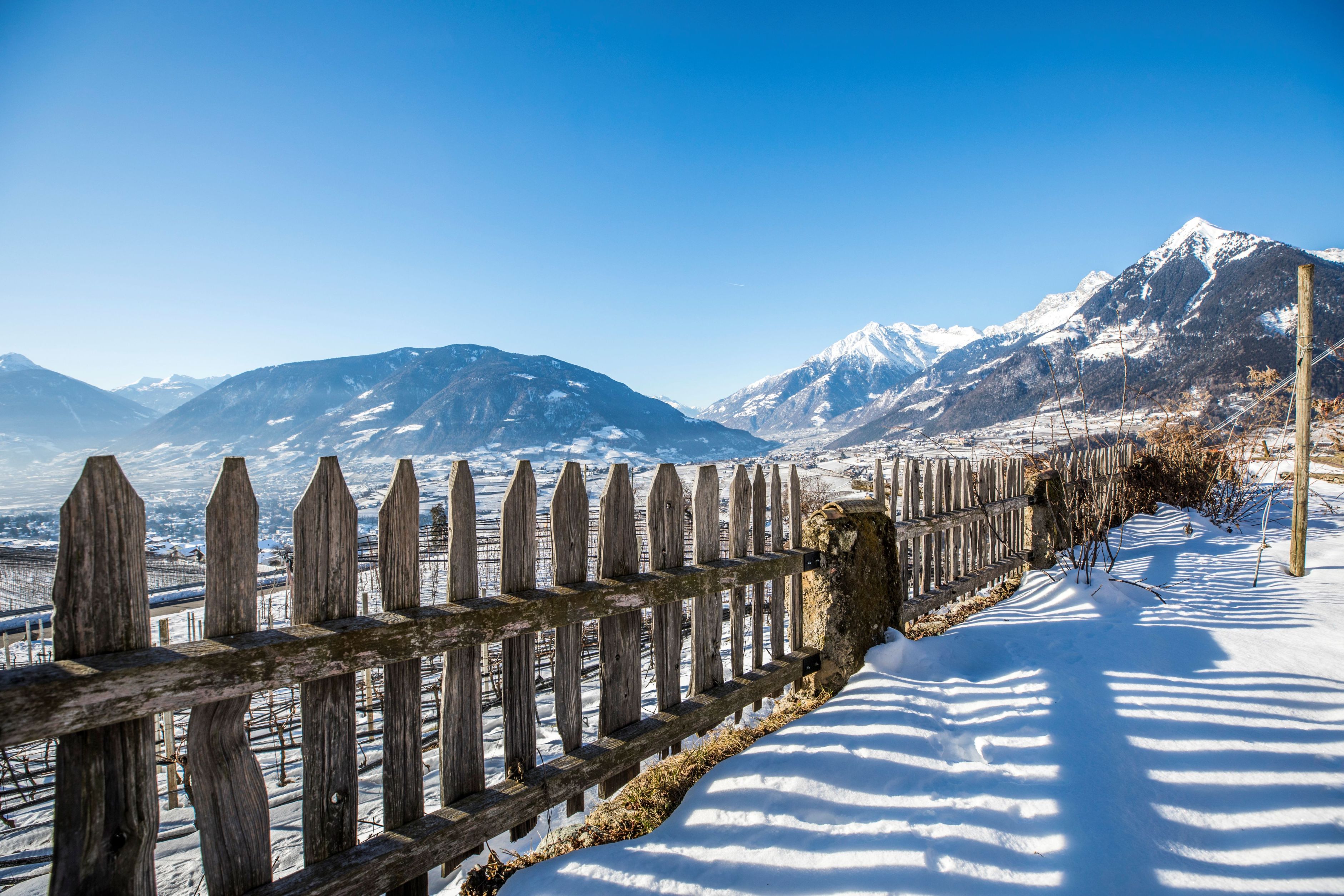 Programma per San Silvestro
