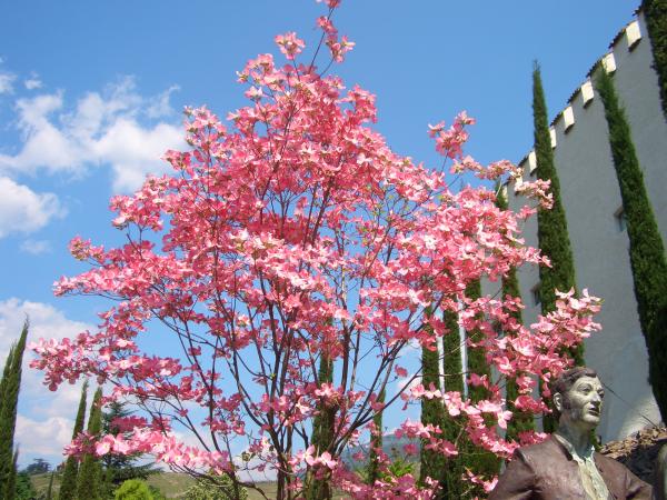 Piacere primaverile: goditi 8 giorni – paghi 7