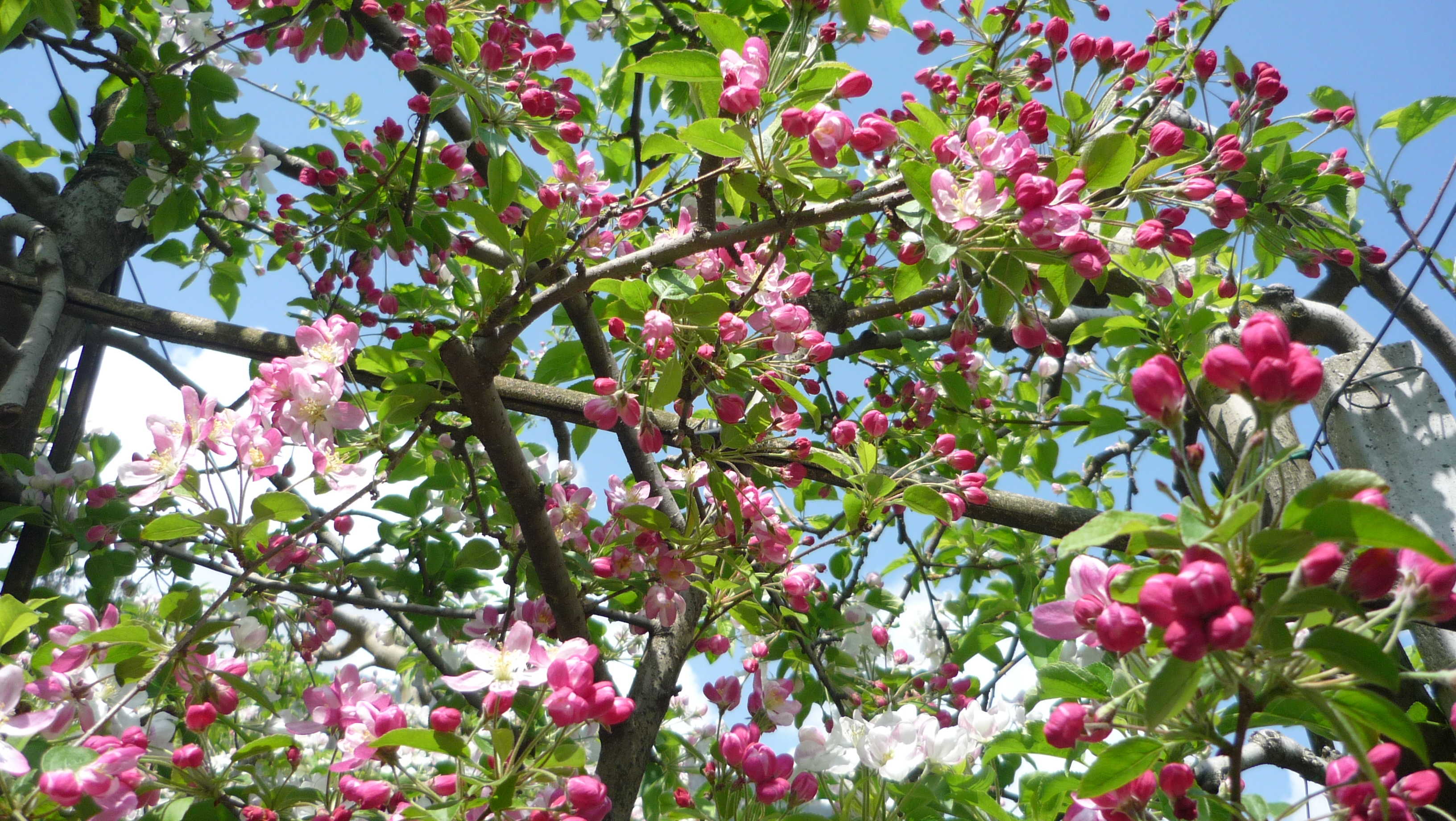 Frühling erleben: 10 % Rabatt & GuestCard