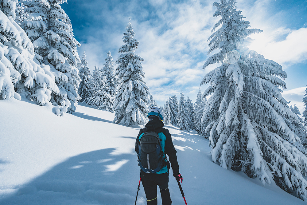 Winter joys and mountain wellness!